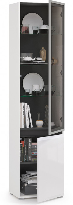 Сидней 13.201 Шкаф-витрина, цвет корпус: белый/чёрный/фасады: МДФ белый глянец/прозрачное стекло с серой тонировкой, ШхГхВ 50х41,3х205,2 см., ун. сб.