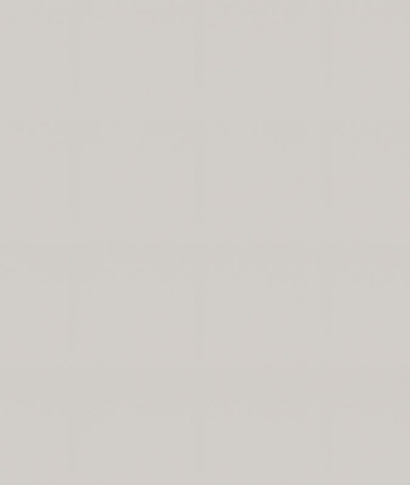 Ф-283 Альфа (ШВГ 460х500) МДФ холст белый