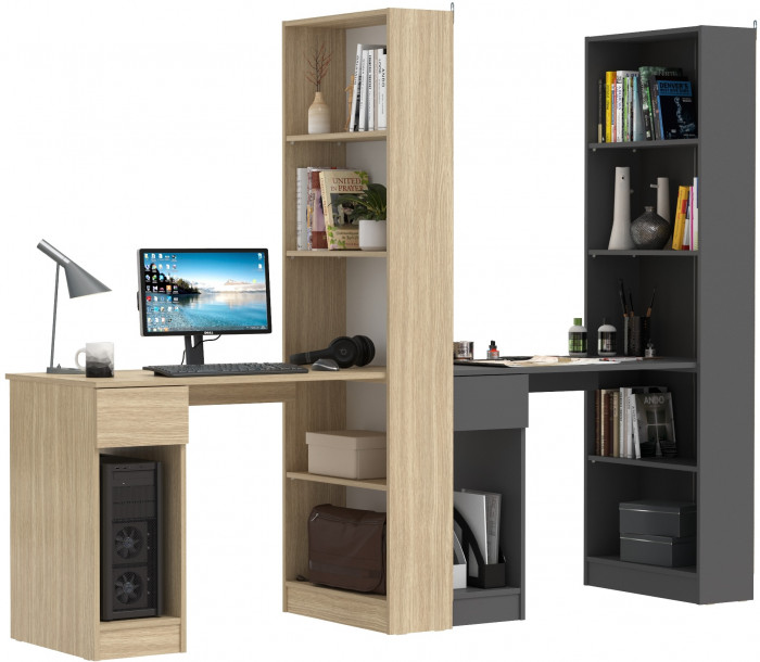 Два Стола письменных Лайт 10.01, цвет плэйн/тёмно-серый, ШхГхВ 230,6х58,2х179 см., универсальная сборка(обязательно крепление к стене)